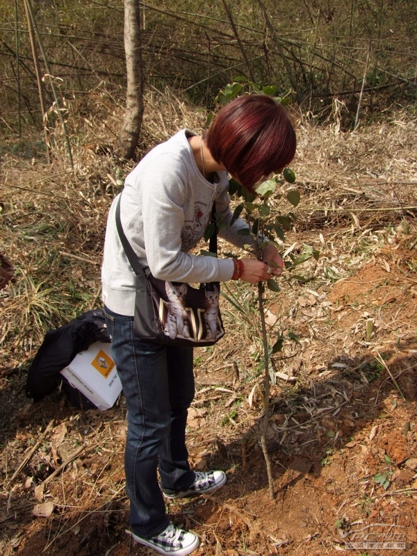 小朋友与种植的小树苗合影,参与植树的车友为小数码挂上指数卡