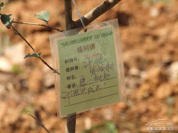 播种希望种植幸福 南京雷诺车主植树行