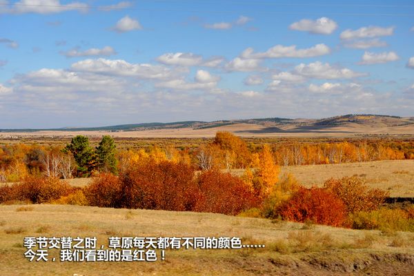 呼伦贝尔长途试驾11款嘉年华