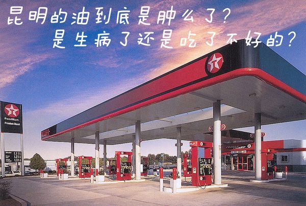 昆明加油站到底肿了么？多品牌车辆报障