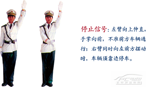 学习交通信号手势 让路途不再迷茫