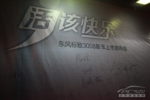 3008华南大区上市