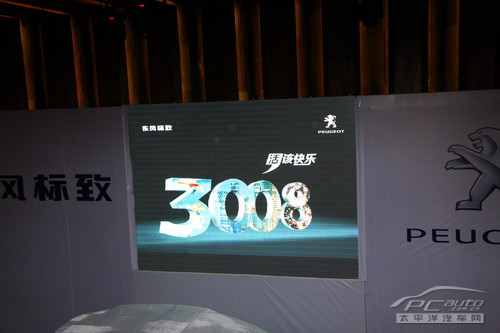 3008华南大区上市