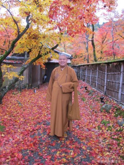 宽严法师简介