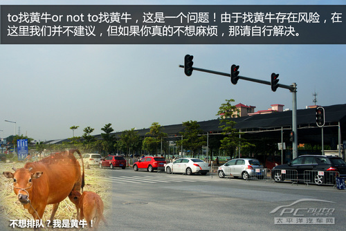 广州迁出获更新指标
