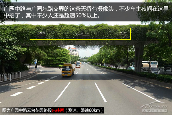 白云热门违章