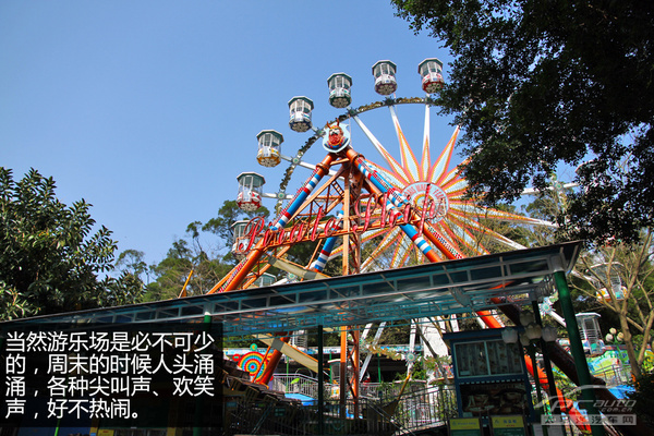 深圳热门公园停车攻略 罗湖东湖公园篇