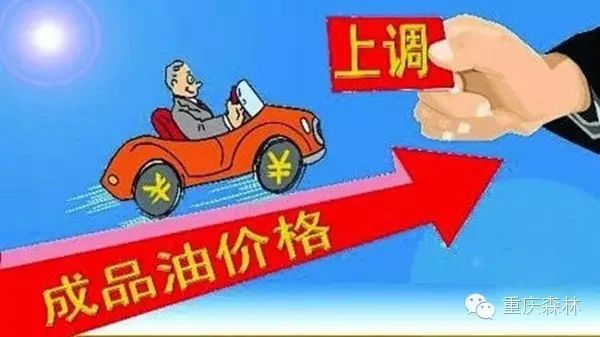 6297879_1.webp_thumb.jpg