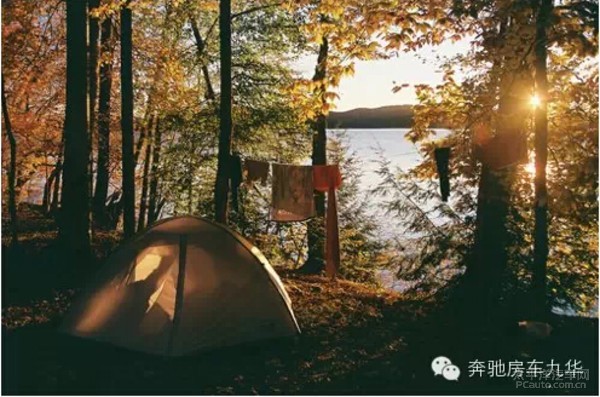 面绚总人口_雾岛绚都角色转面图