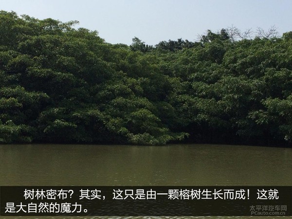 江门市市区多少人口_江门市人口分布图(3)