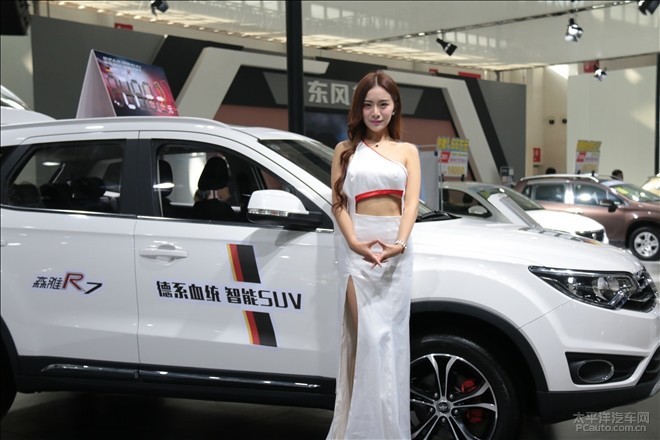 2017中国沈阳国际车展一汽展位模特展示图片