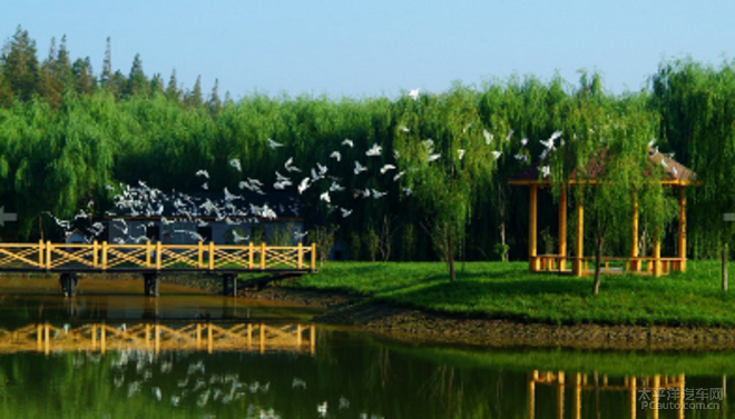 景点一:上海崇明岛明珠湖