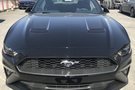 進(jìn)口福特Mustang活動(dòng)火熱促銷現(xiàn)車充足