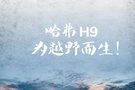 跨越1200公里，哈弗H9征戰(zhàn)塞北!