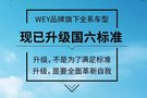 滄州潤馳達(dá)WEY真國六 硬實力
