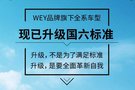 滄州潤馳達WEY真國六 硬實力