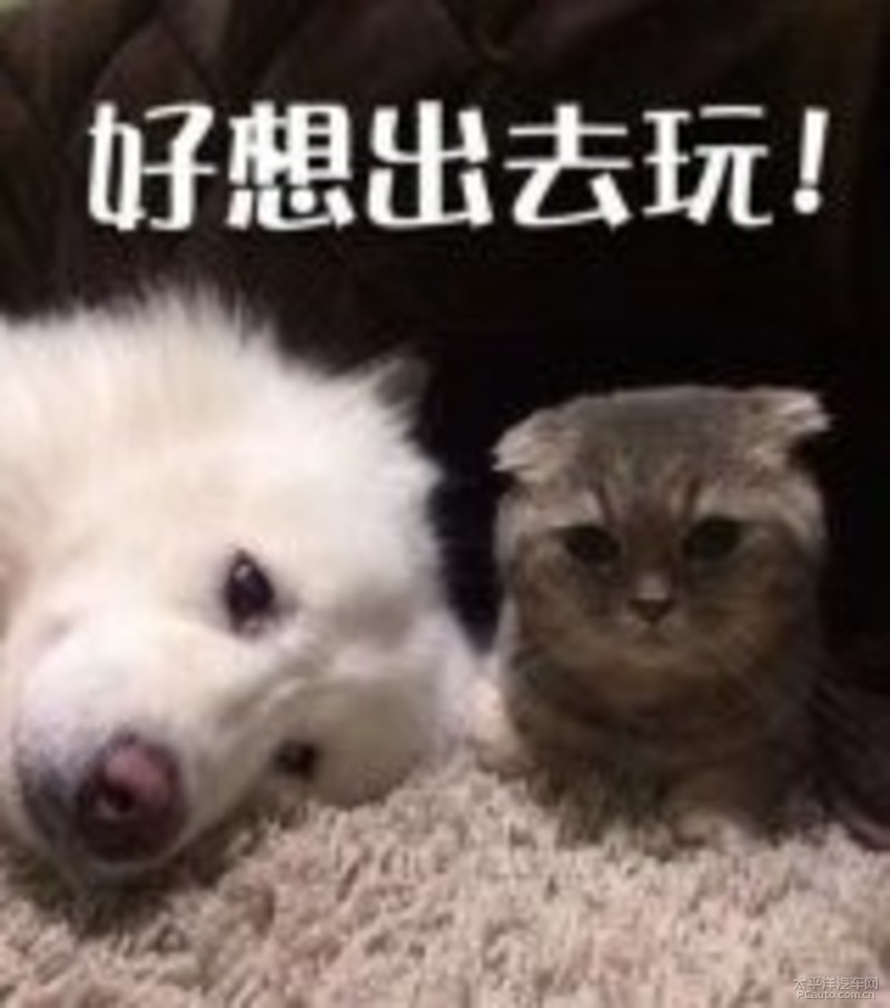 相信大家一到周末就会处于一种:   "天哪,好想出去浪,但是无处可去
