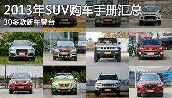 30³̨ 2013SUVֲ