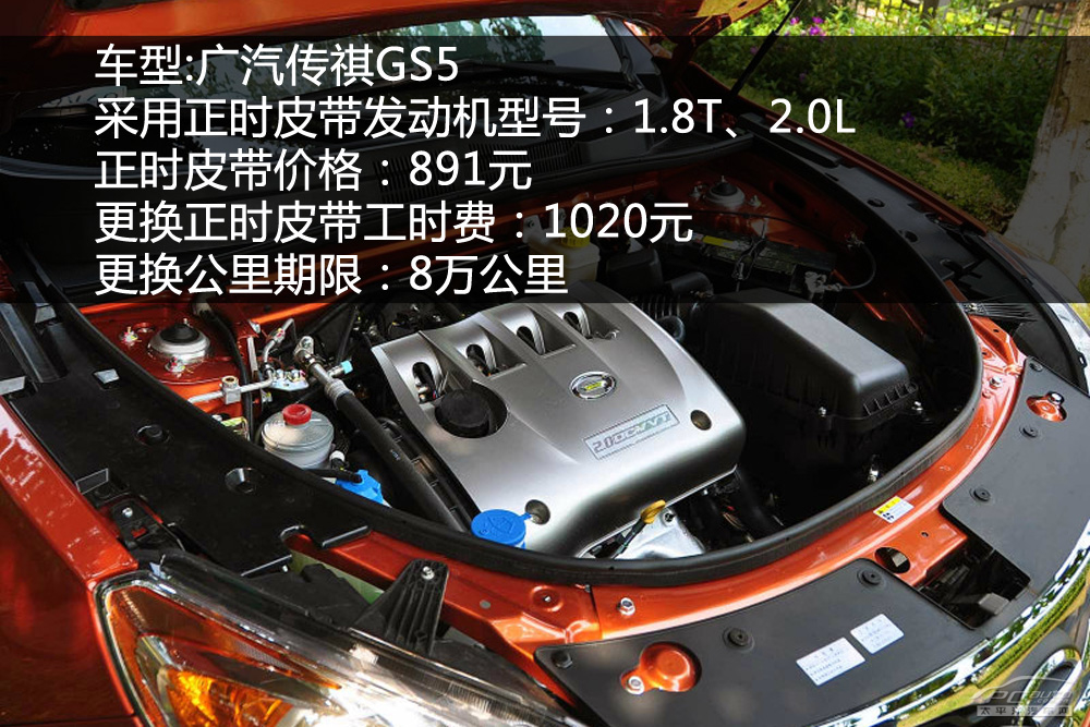 思域,謳歌與國產品牌正時帶調查 _太平洋汽車網