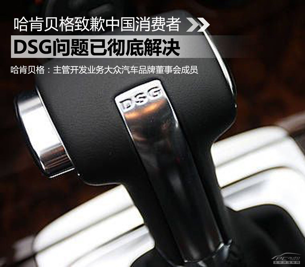 DSG闂宸插交搴曡В鍐�