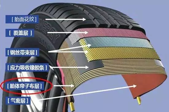 轮胎帘线层位置图片