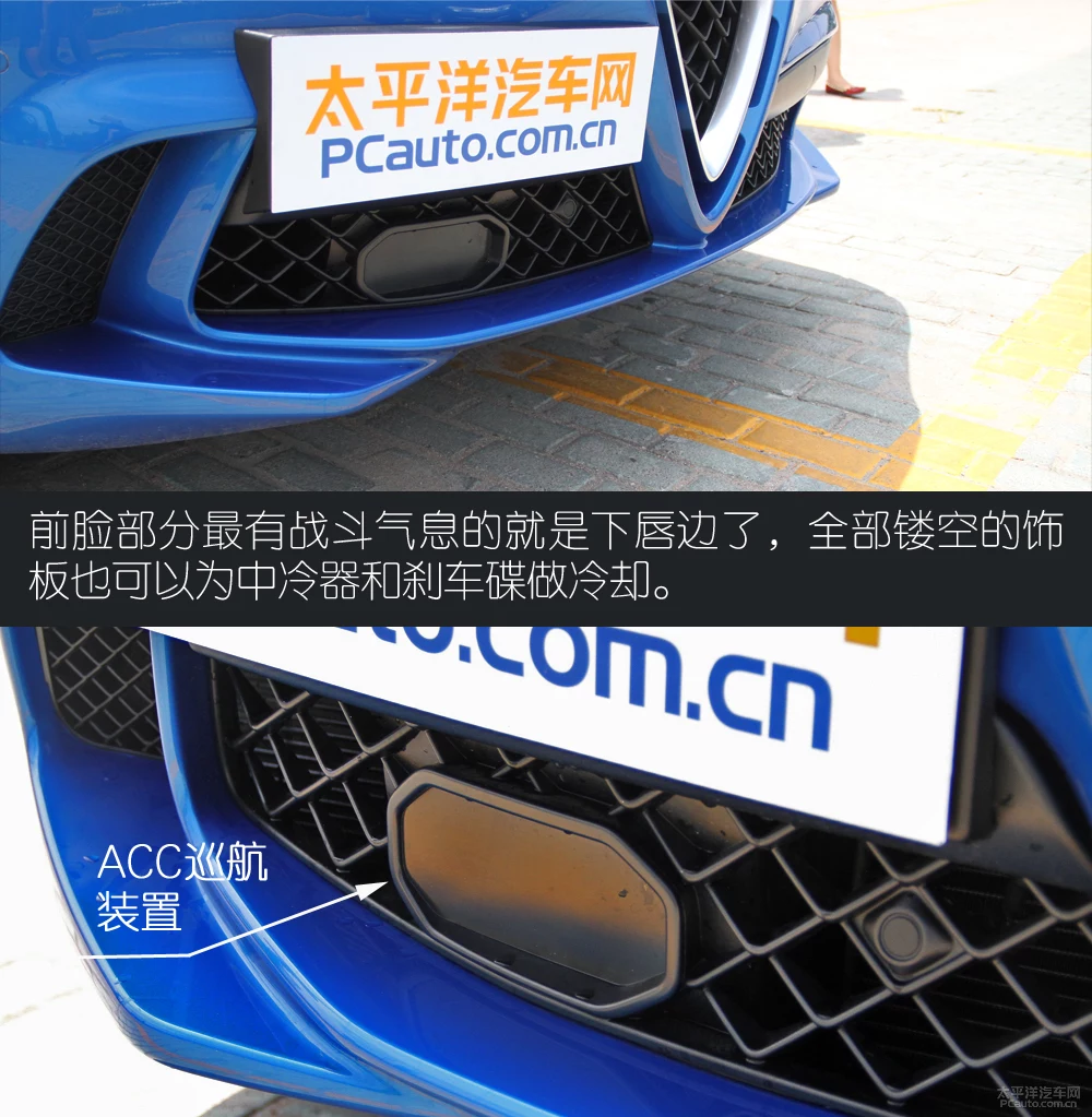鎰忓紡婵€鎯� 瀹炴媿闃垮皵娉曠綏瀵嗘Stelvio鍥涘彾鑽�