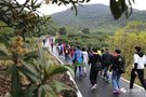 公益綠色環保徒步，河源寶星報名通道已開啟
