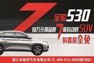 10萬元高品質(zhì)7座自動擋530購置稅全免