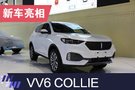 2019上海车展：WEY VV6 COLLIE亮相