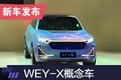 2019上海车展：WEY-X概念车正式亮相