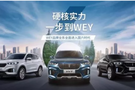 长城汽车WEY VV6国六版一招为你解忧