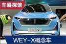 2019法兰克福车展探馆：WEY-X概念车