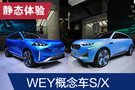 2019法蘭克福車展：WEY概念車S/X靜態(tài)體驗(yàn)