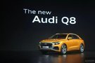全新奥迪Audi Q8 & COLD STEEL酷思迪