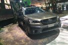 新一代斯巴魯傲虎或將于2020廣州車展首發