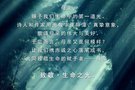 以情作箋，落筆成書