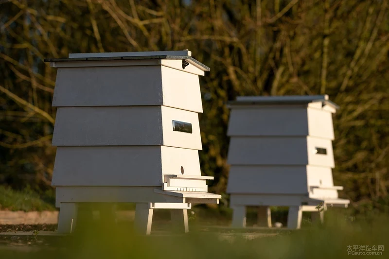 劳斯莱斯汽车养蜂场项目助力保护英国蜜蜂种群