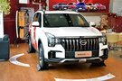 硬核運動大五座SUV 傳祺GS8S中山到店實拍