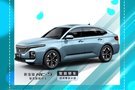 7月26日静海红星美凯龙 新车上市发布会