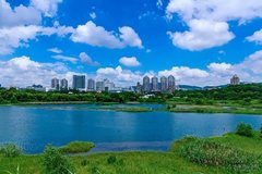 环保小课堂：探访深圳闹市中的神秘湿地公园