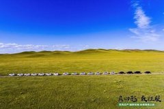 纵横大美草原 穿过想象西域|东风日产“越野双雄”西部自驾之旅