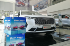 長城檸檬平臺首款戰略新車 第三代哈弗H6嘉興錦云哈弗探店實拍