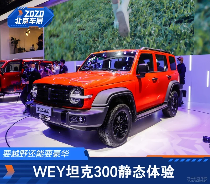 瑕佽秺閲庤繕鑳借璞崕 WEY鍧﹀厠300闈欐€佷綋楠�