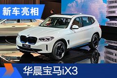 2020北京车展：华晨宝马iX3亮相