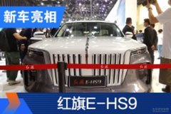 2020北京車展：紅旗E-HS9預售55-75萬元