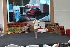只WEY有趣 2021款VV5上市創(chuàng)趣音樂節(jié)