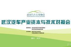 武汉汽车产业资本与技术对接会方案