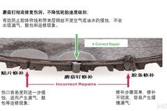 泰克蘑菇钉为何成为轮胎修理的优选品？